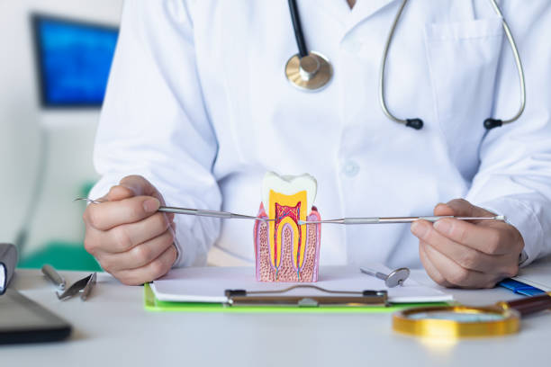 Best Dental Abscess Treatment in Iceville, AL